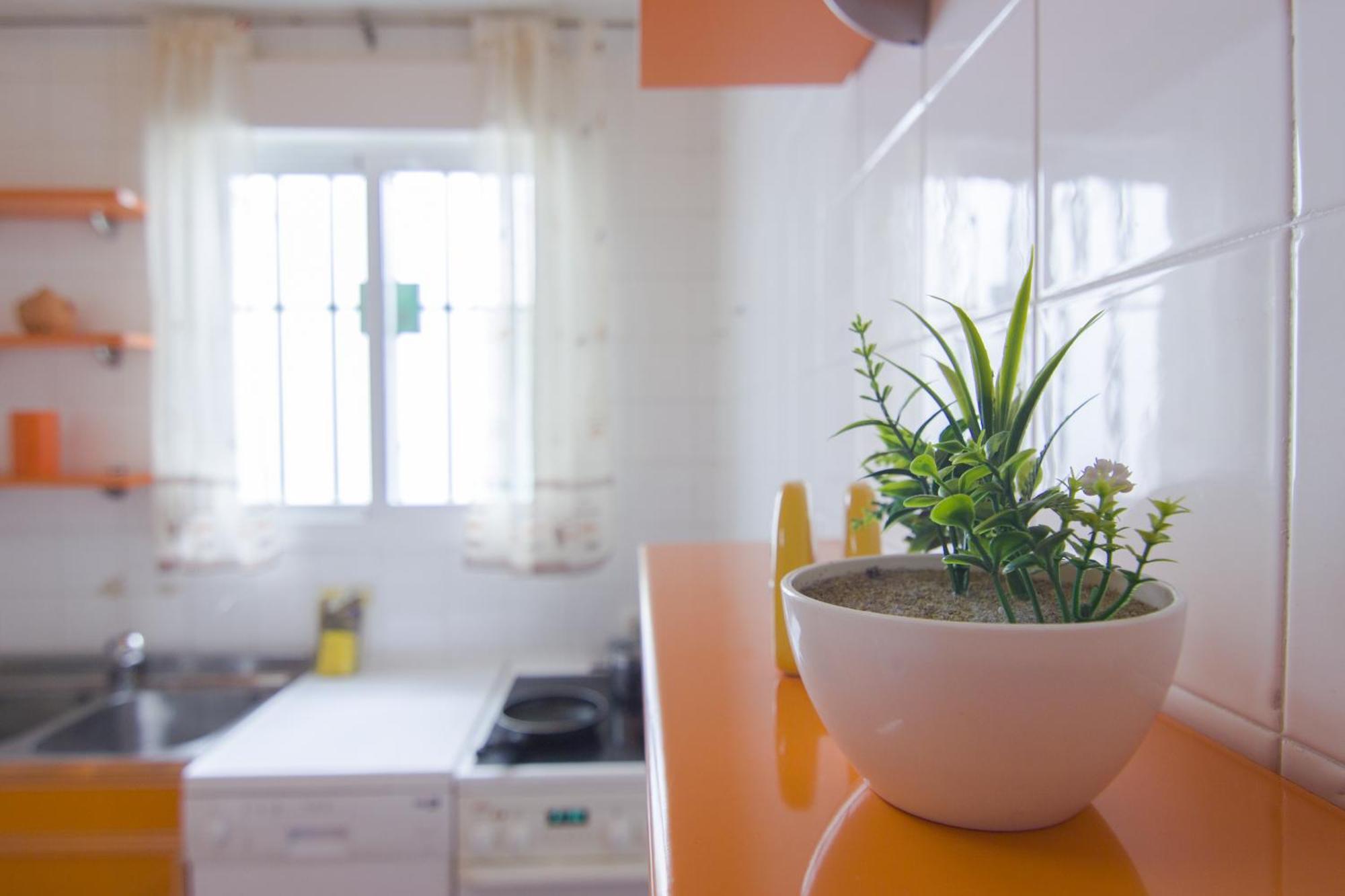 Rentalsevilla Buiza Y Mensaque 外观 照片